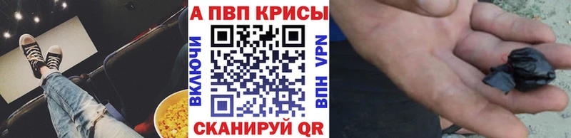 Alfa_PVP СК КРИС Белокуриха