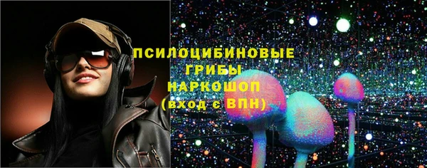 прущий лед Аркадак