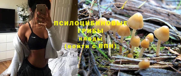 стаф Алзамай