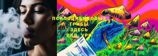 стаф Алзамай